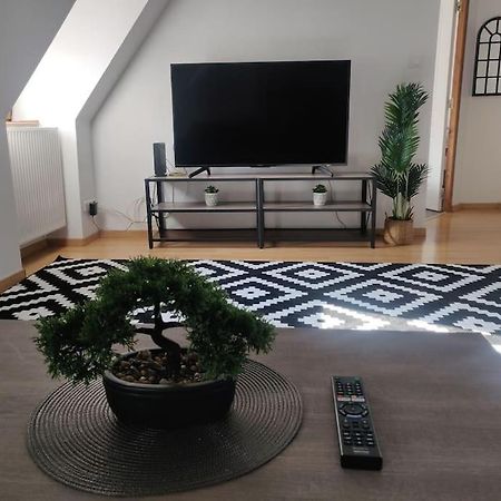 Tres Bel Appart Charmant 85M2 Parking Gratuit Molsheim Esterno foto
