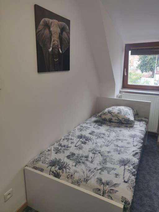 Tres Bel Appart Charmant 85M2 Parking Gratuit Molsheim Esterno foto