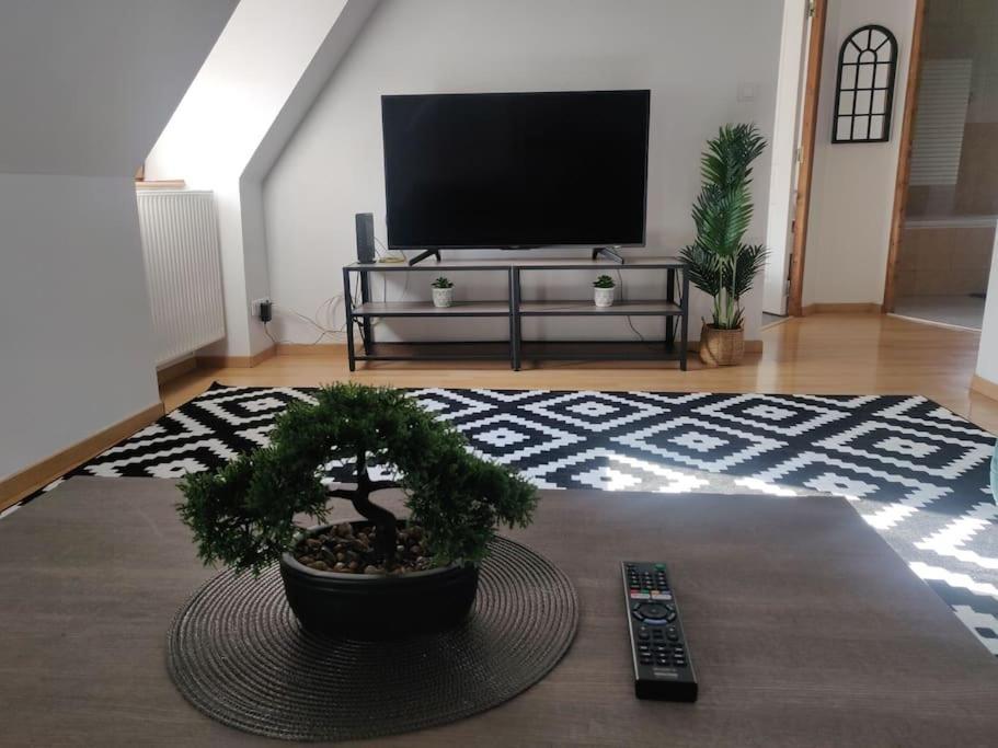 Tres Bel Appart Charmant 85M2 Parking Gratuit Molsheim Esterno foto