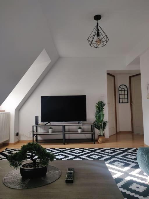 Tres Bel Appart Charmant 85M2 Parking Gratuit Molsheim Esterno foto